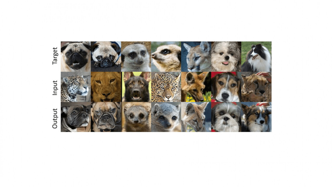 NVIDIA’s new AI lets you recreate your pet’s smile on a lion