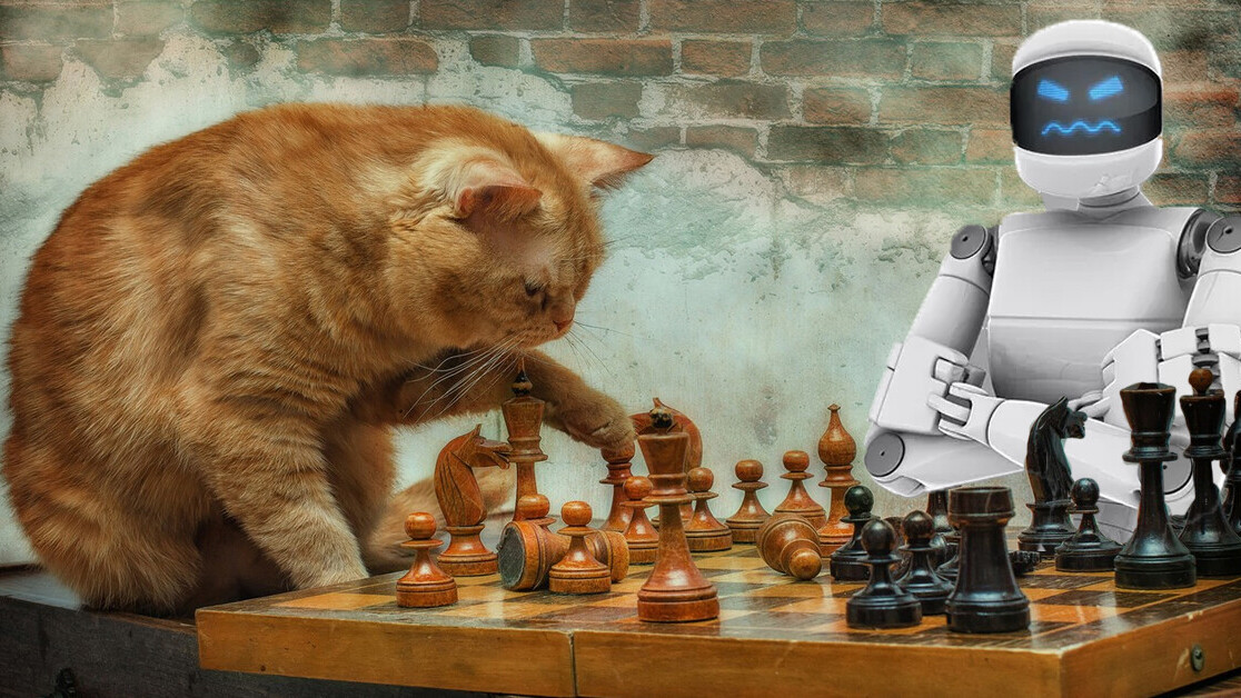 Why your cat is lousy at chess yet way smarter than even the most advanced AI