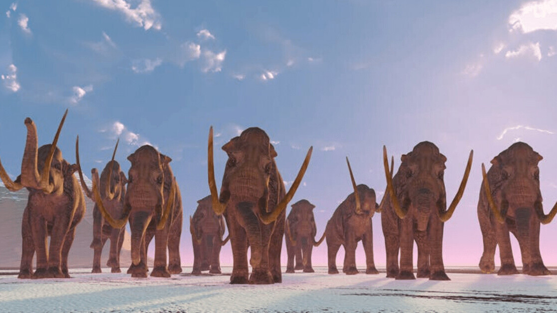 Radar reveals very first footprints of Ice Age mammoths and prehistoric humans