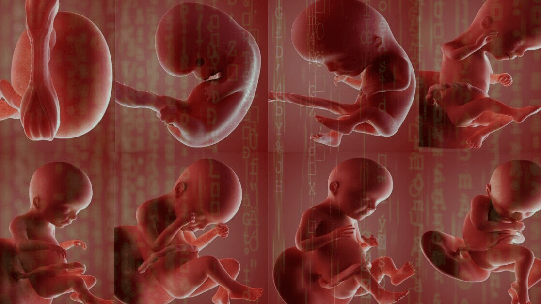 What AI analysis of placentas can teach us about childbirth and health