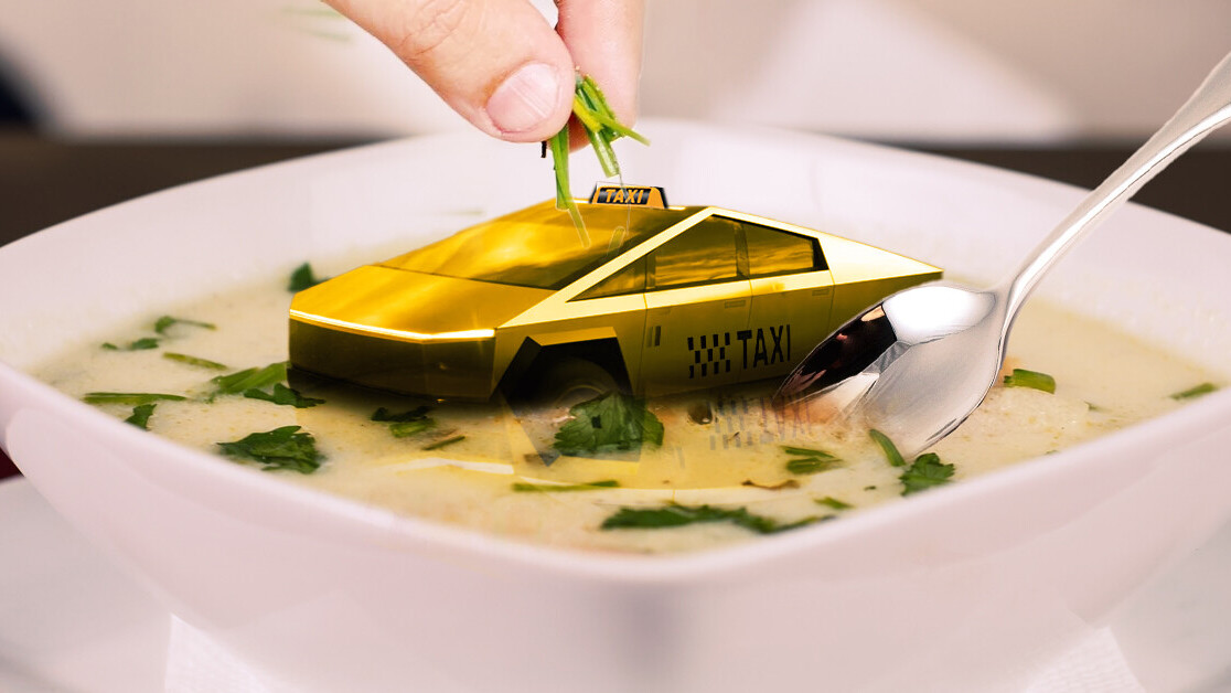 Why two world-renowned AI experts might have to eat a million Tesla robo-taxis in 2020