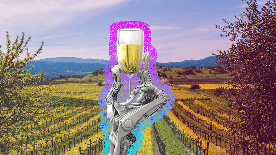 What winemaking has taught me about artificial intelligence