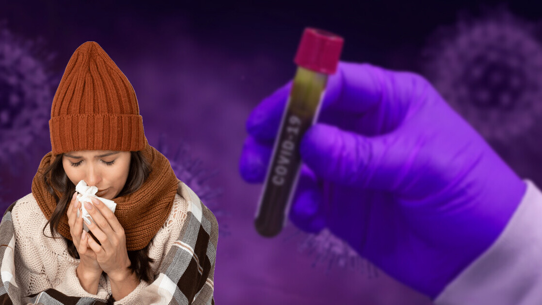 A brief history of coronaviruses — and why COVID-19 is different