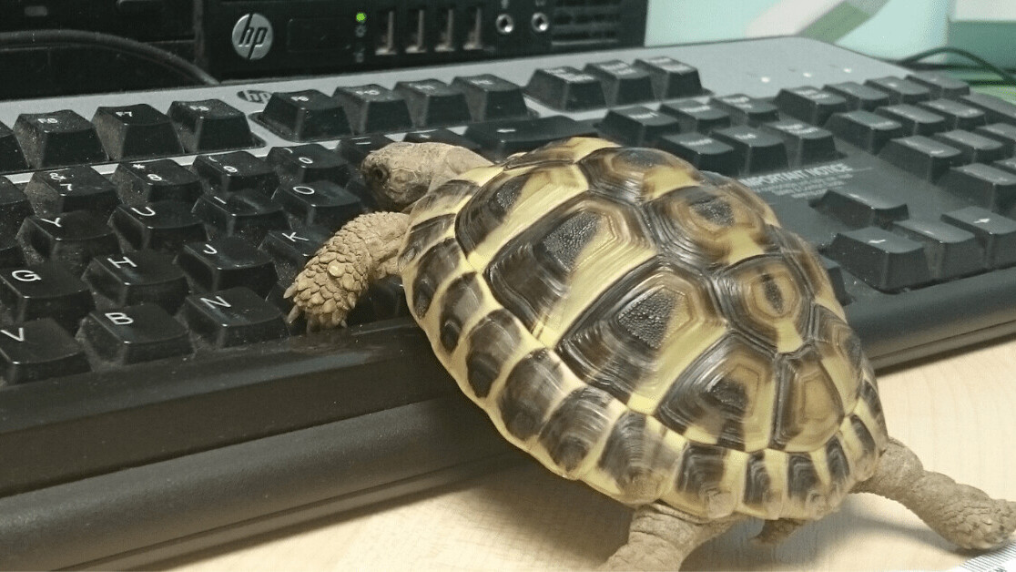 Microsoft Word’s AI wants to rewrite your crappy sentences