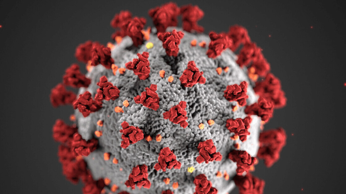 Using ‘personalized AI’ to end coronavirus lockdown is a stupid, cruel idea