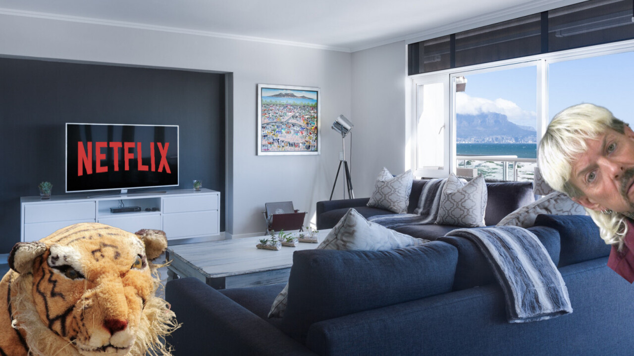 After Tiger King, Netflix seeks $1 billion loan to make more original content