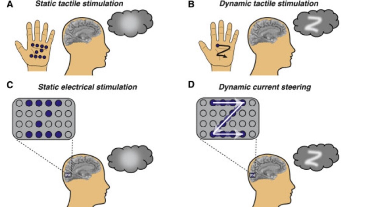 Scientists give blind people ‘sight’ by drawing shapes directly on their brains