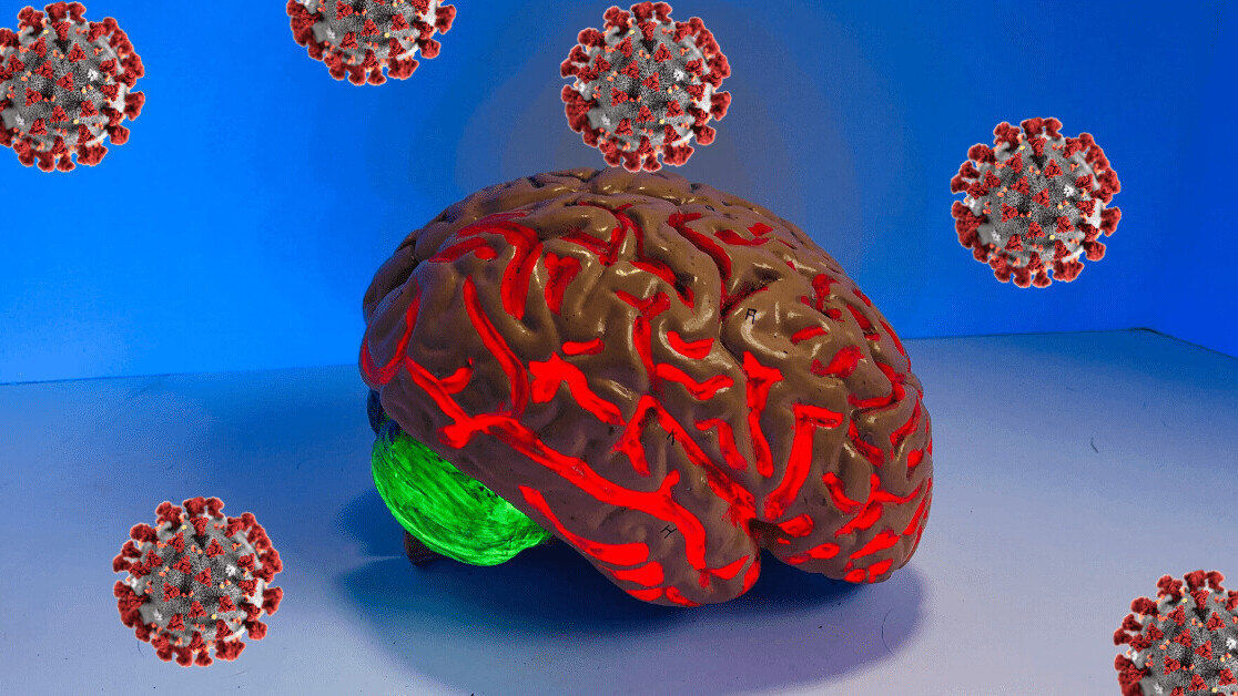 A neurologist explains how coronavirus impacts the brain