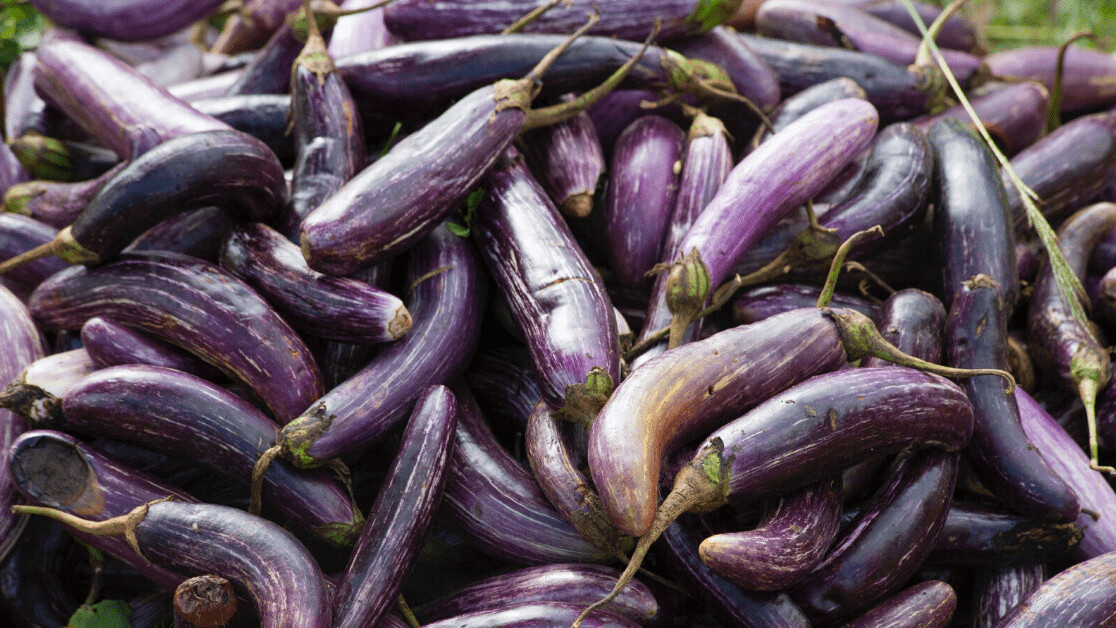 Dating app Badoo is now using AI to detect unsolicited dick pics