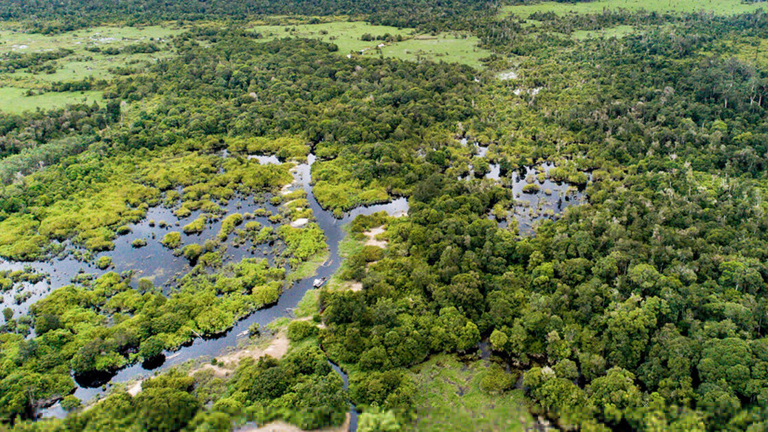 Here’s why you need to start worrying about the world’s frozen peatlands