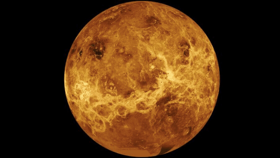 Could there be life on Venus?