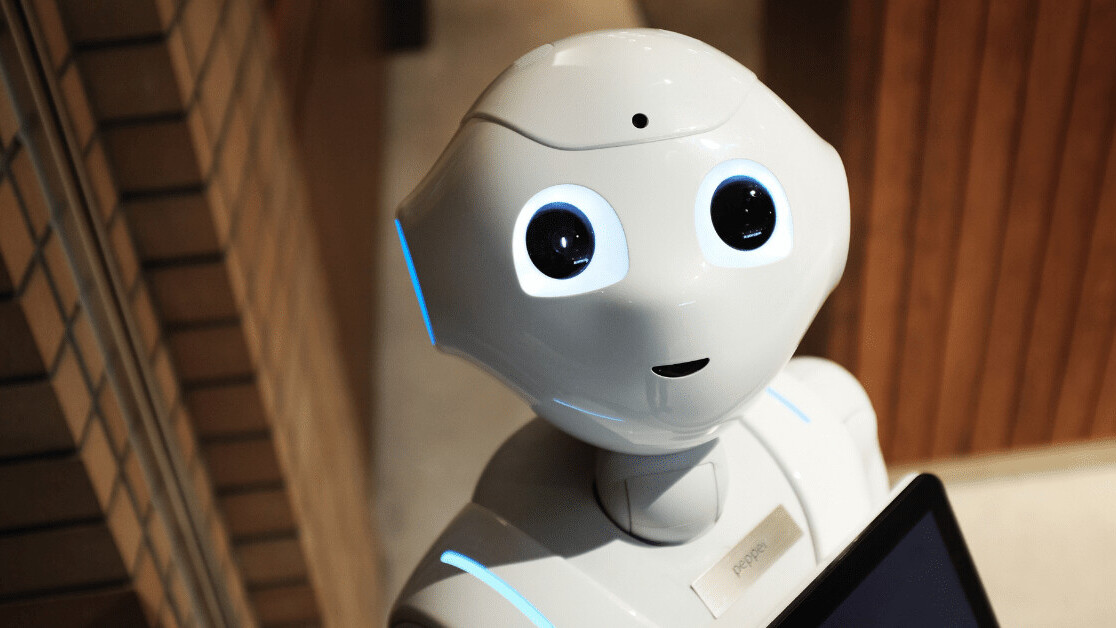 How humane is the UK’s plan to introduce robot companions in care homes?