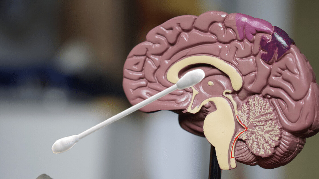 No, you can’t puncture your brain with a COVID-19 swab test