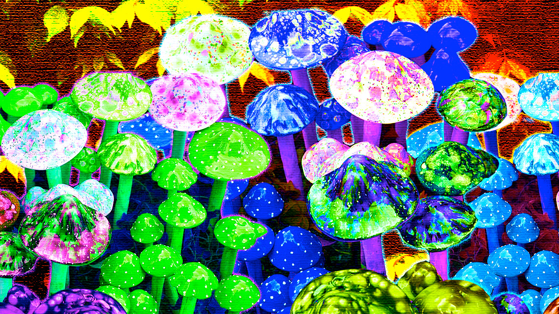 This startup sells microdosing kits to boost productivity — so I did magic truffles for a month