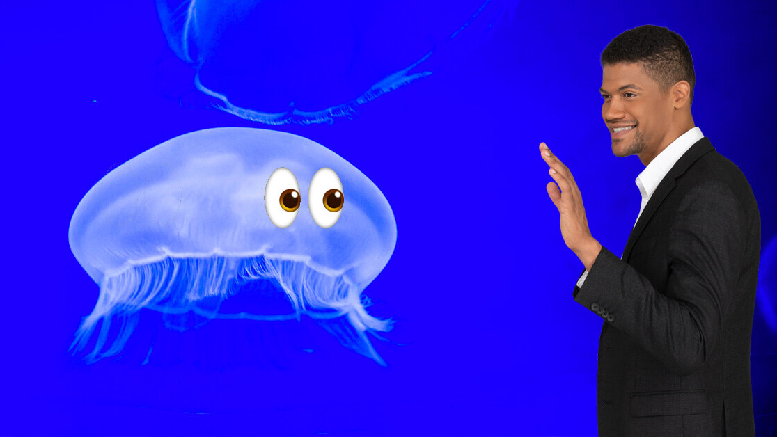 You are more closely related to comb jellies than sponges, new study claims