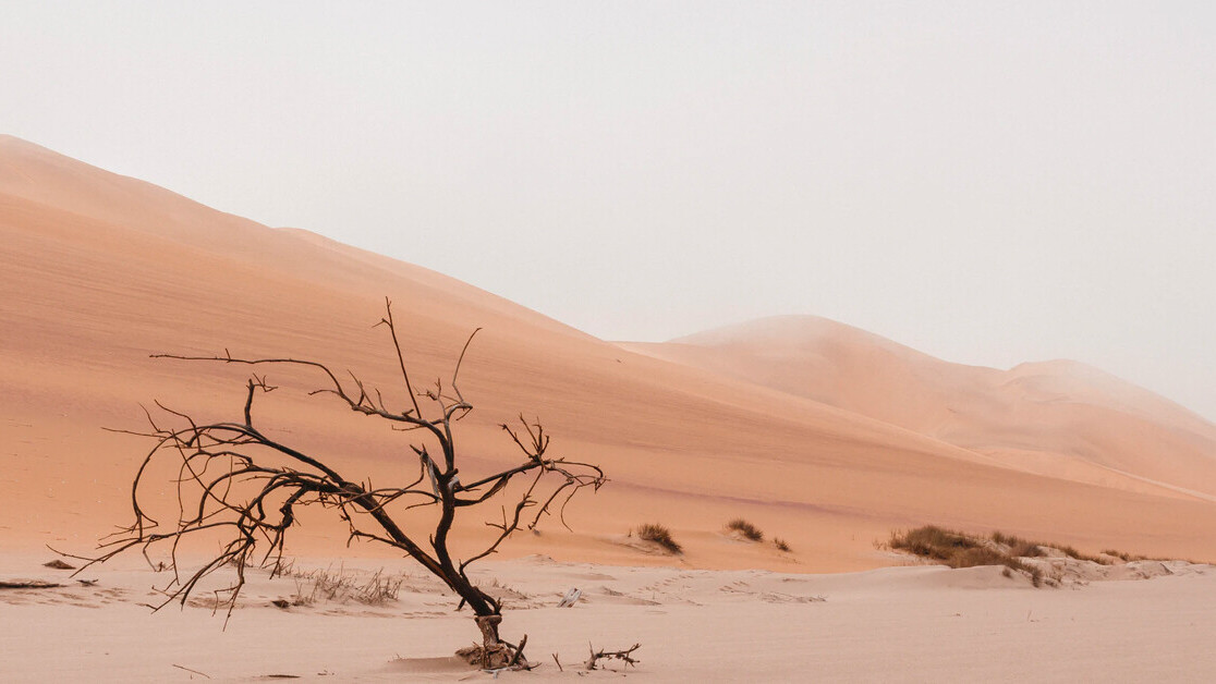5 unusual technologies that can prevent a global water crisis
