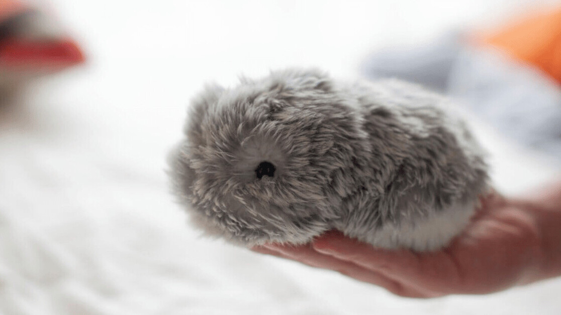 This cute AI pet will fill the deep, dark void in your life