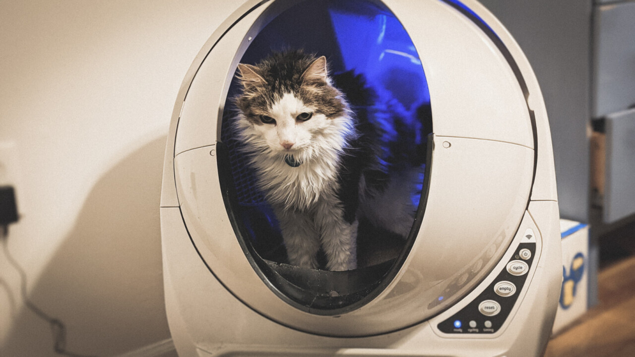 Review: The Litter-Robot is worth the $499 to never scoop cat poop again