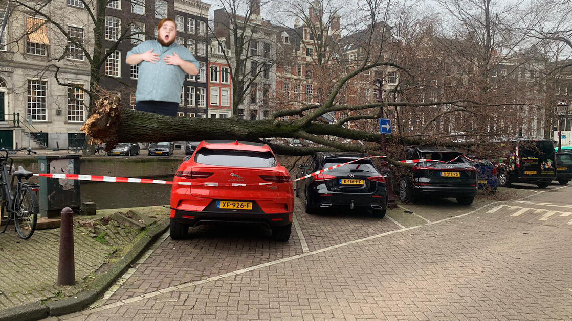 Amsterdam tree versus Jaguar i-Pace: Jag wins