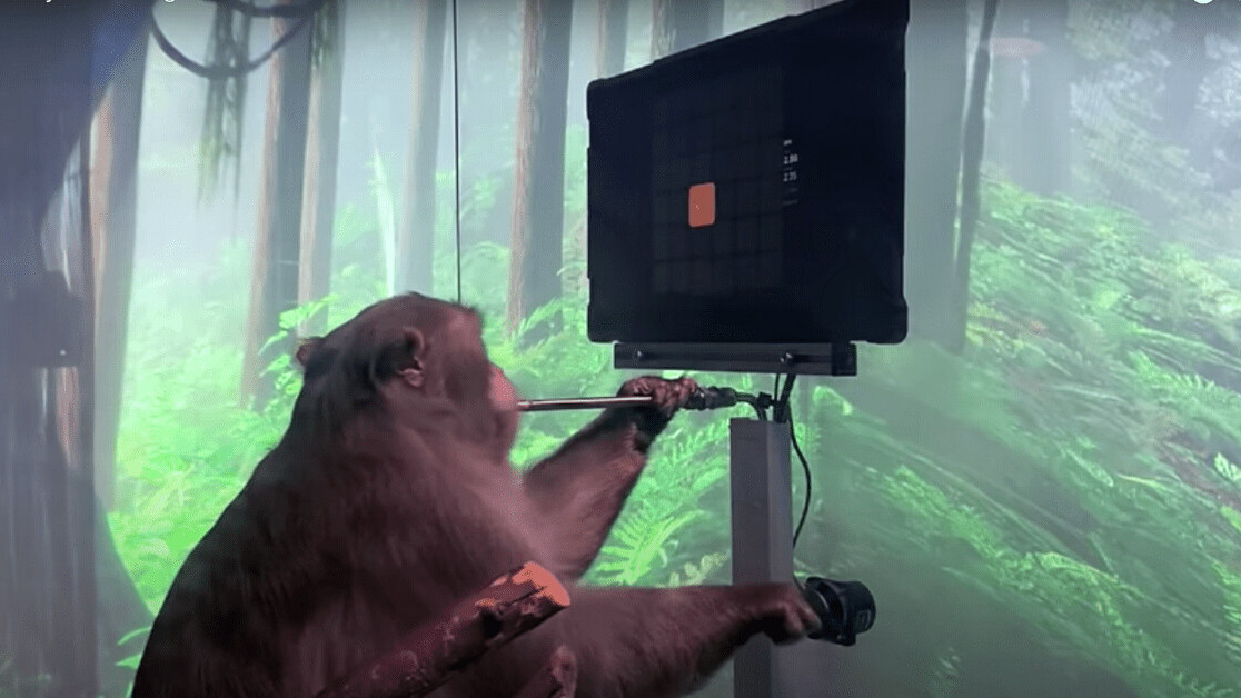 Watch a cyborg monkey play Pong with its mind, thanks to Elon Musk’s Neuralink