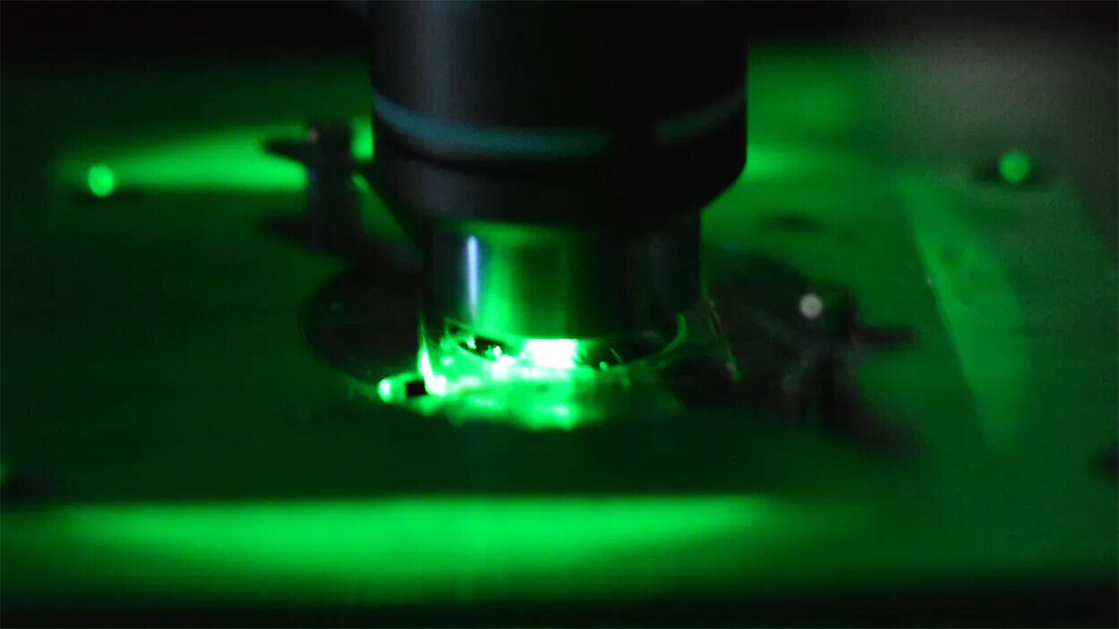 Laser-powered microscopes can destroy some biological samples — quantum tech fixes that