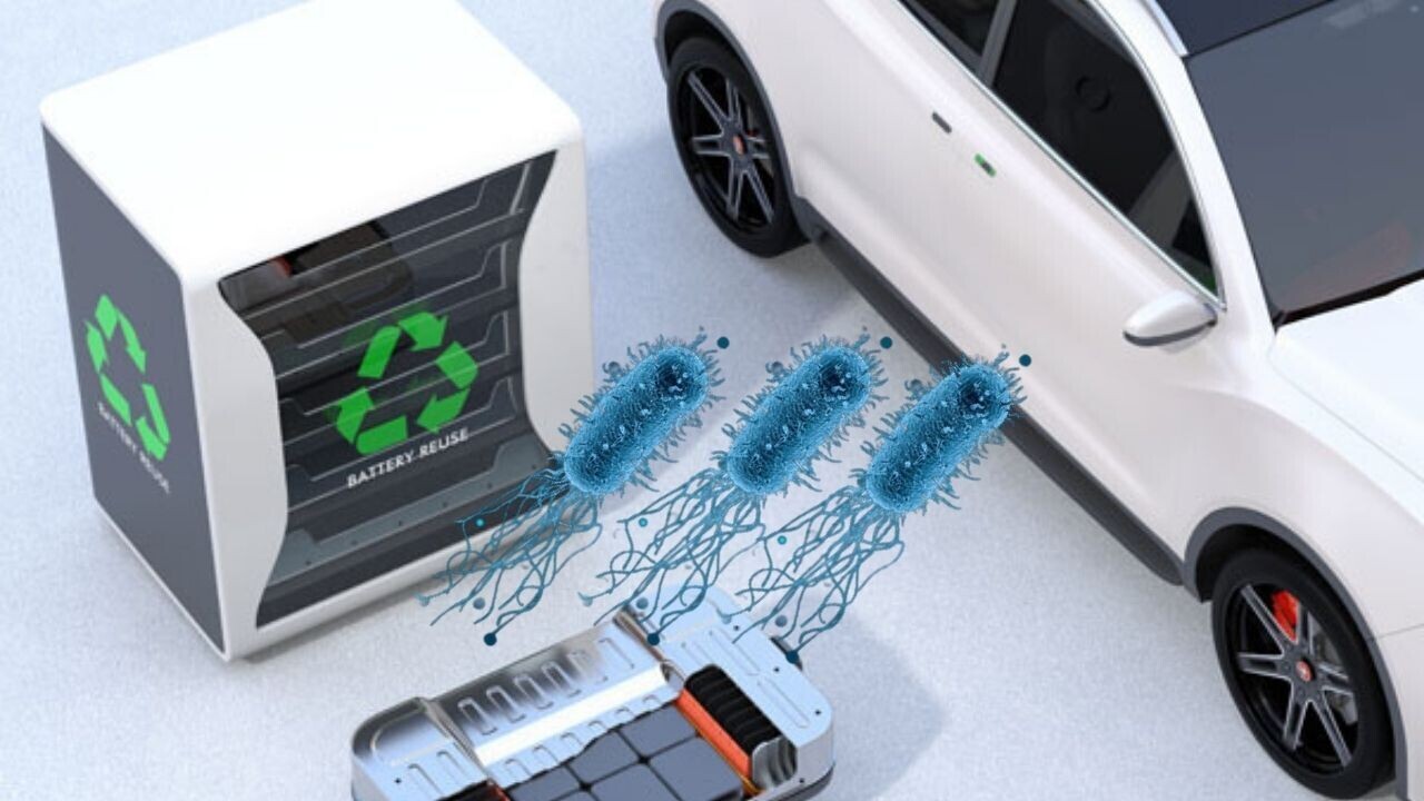 Bacteria – yes, bacteria – could be the key to recycling EV batteries