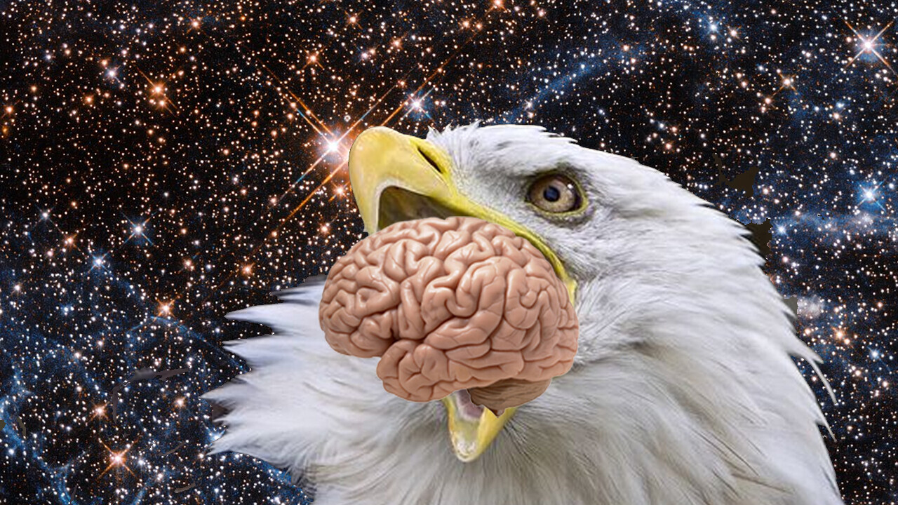 Neural’s Mind Blowers: How quantum bird brains could give us superpowers