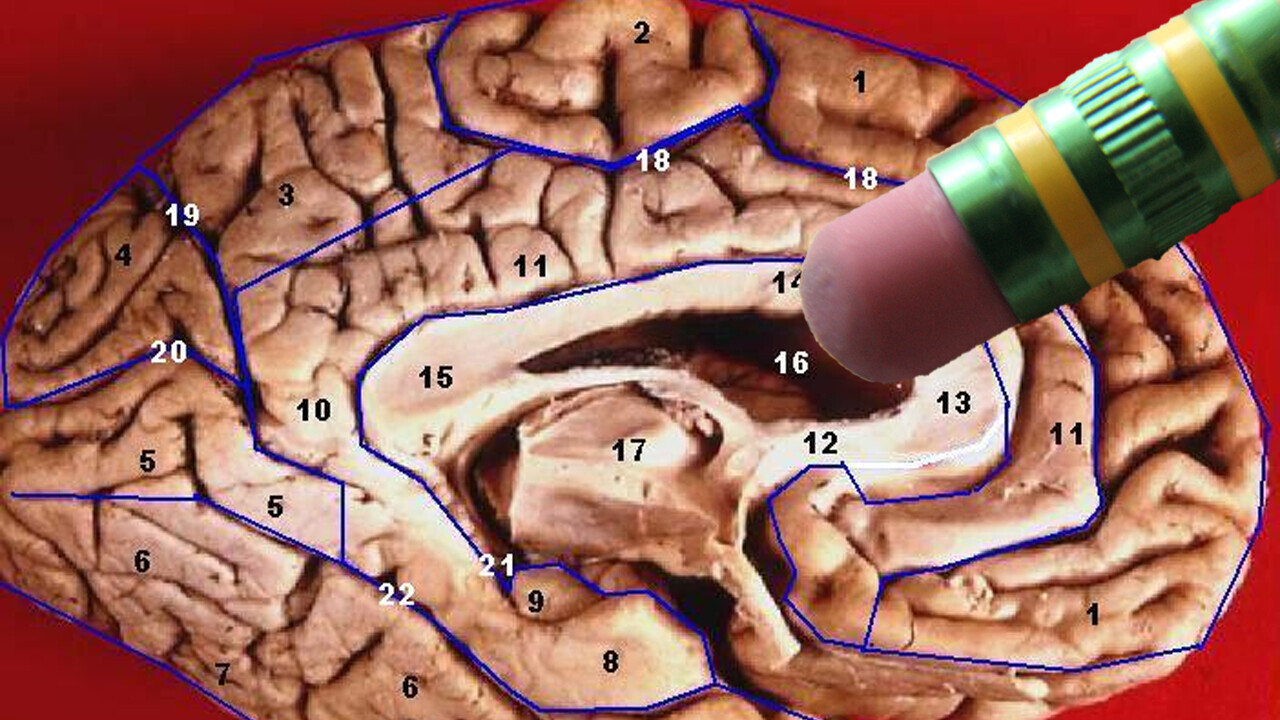 Scientists may have discovered a way to make us forget bad memories