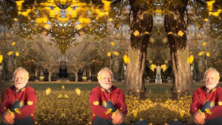 Hide the Pain Harold’s new autumn ‘stock photos’ perfectly capture your dark day blues