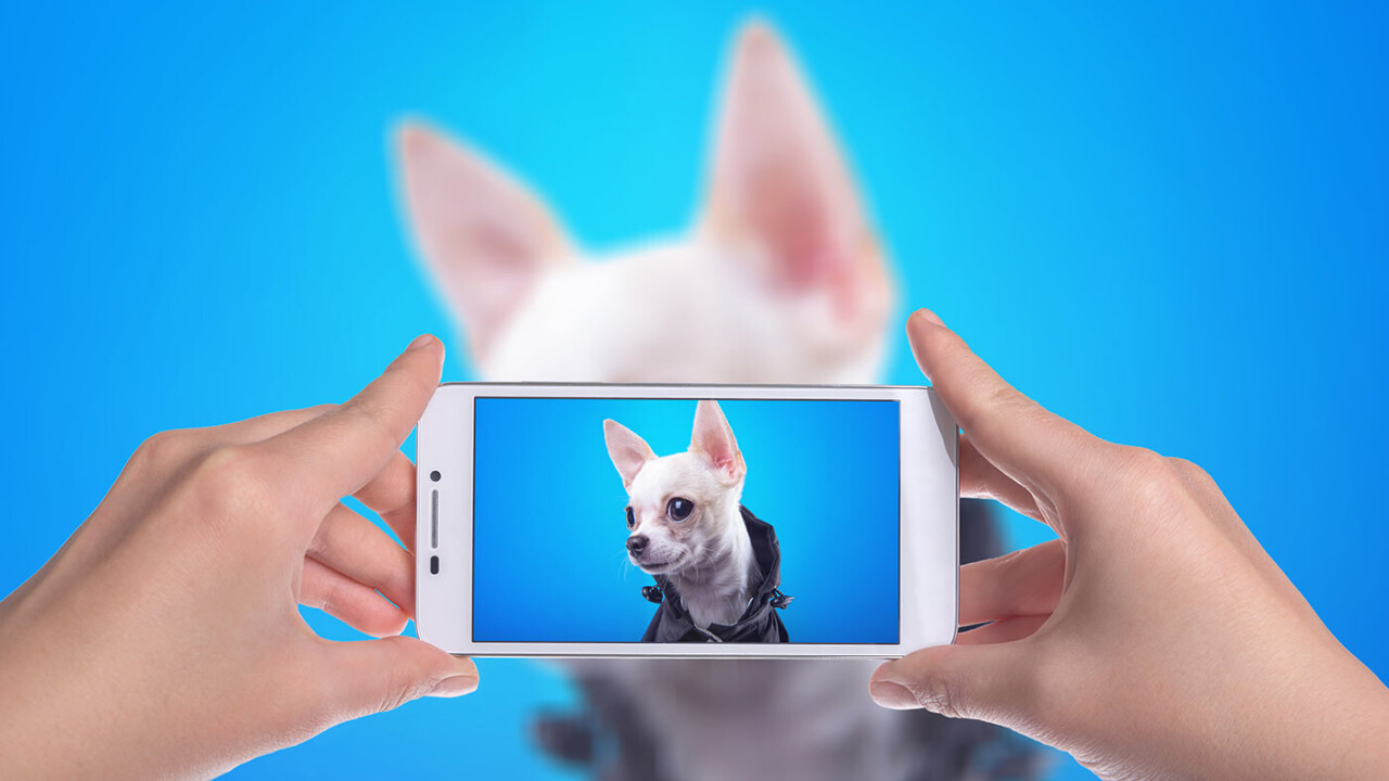 Love sharing videos of smol doggos and angy kittehs? You’re part of the ‘cute economy’
