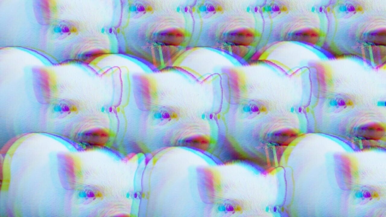 Research: You might think Twitter is a hellhole, but its memes are surprisingly wholesome