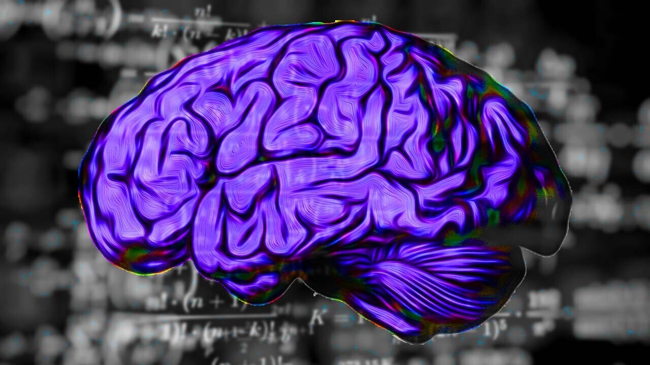 Your brain might be a quantum computer that hallucinates math
