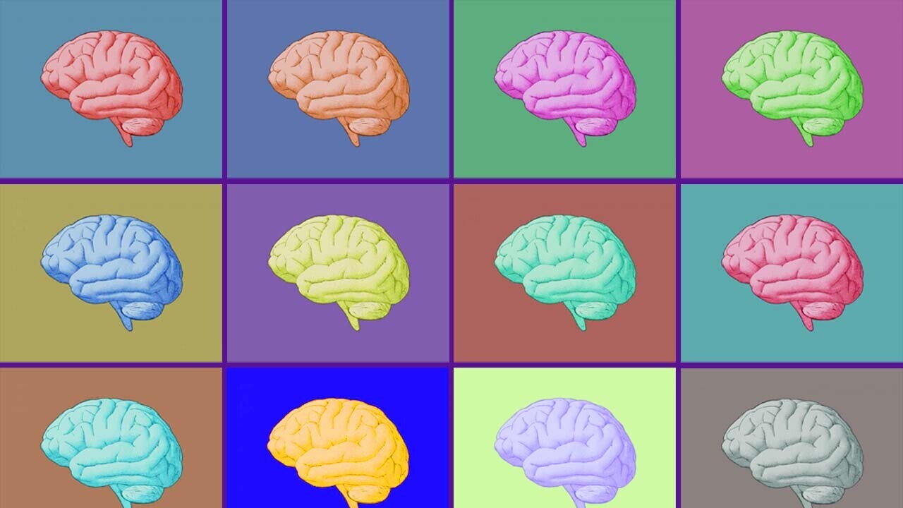 Researchers figured out how the human brain makes memories