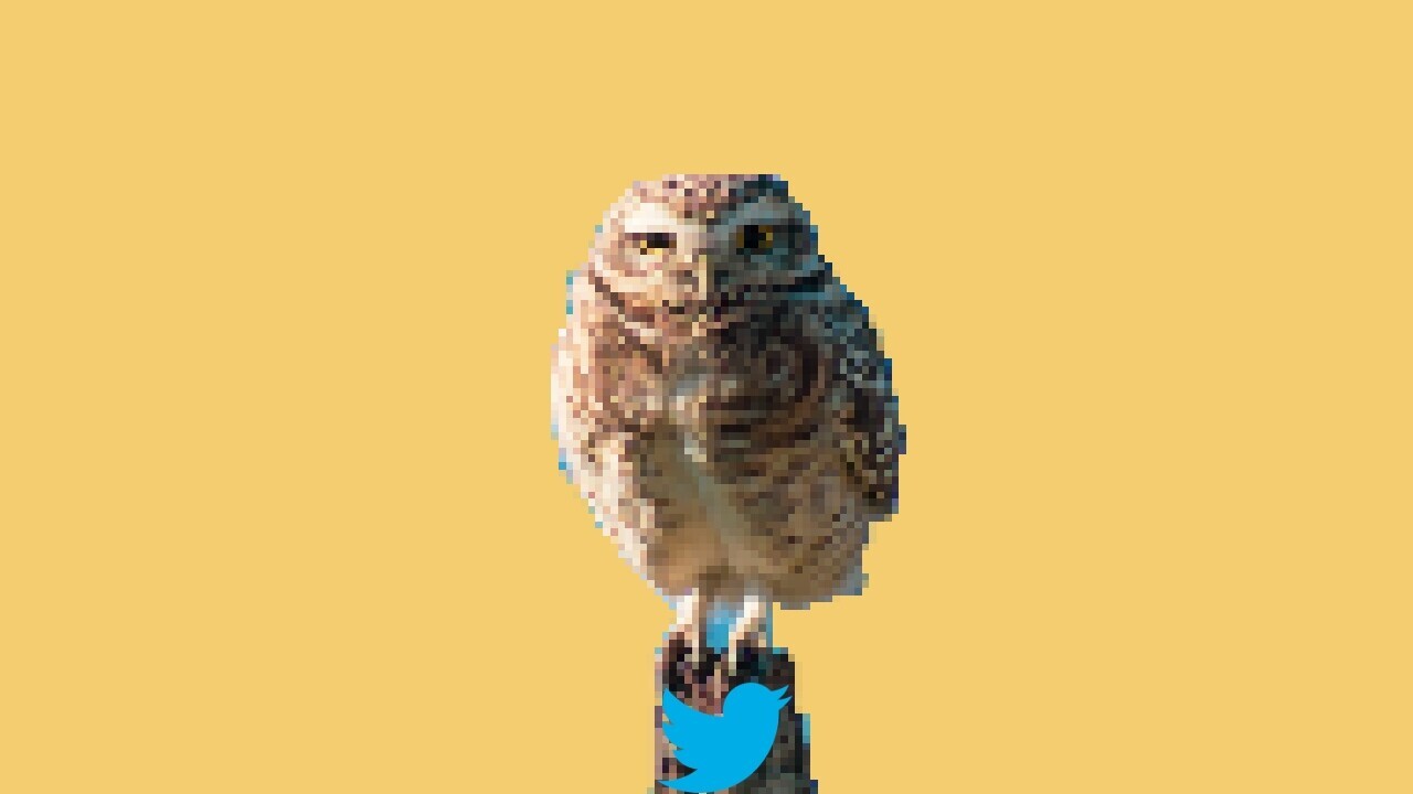 Twitter scammers are hijacking verified accounts to tweet fake Moonbirds NFT links