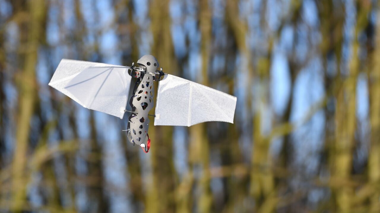 Are bioinspired drones the next big thing in unmanned flight?