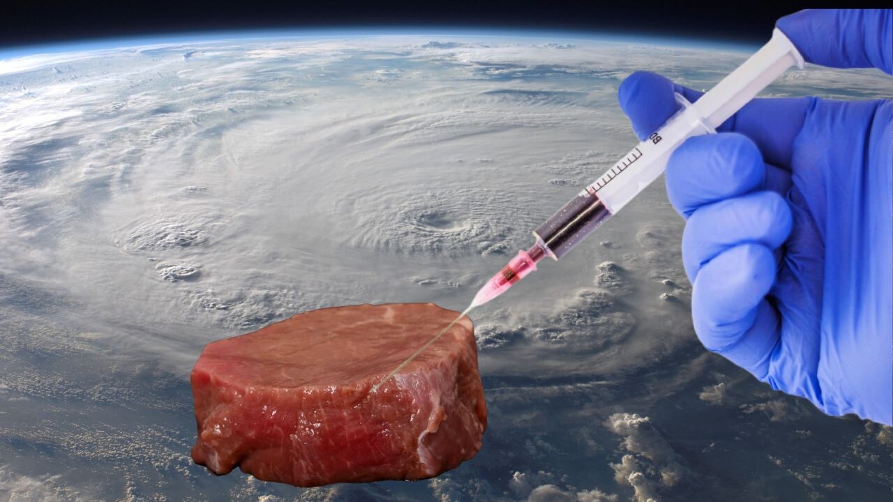 Cultivated meat is a ‘promising’ space food for astronauts, ESA says