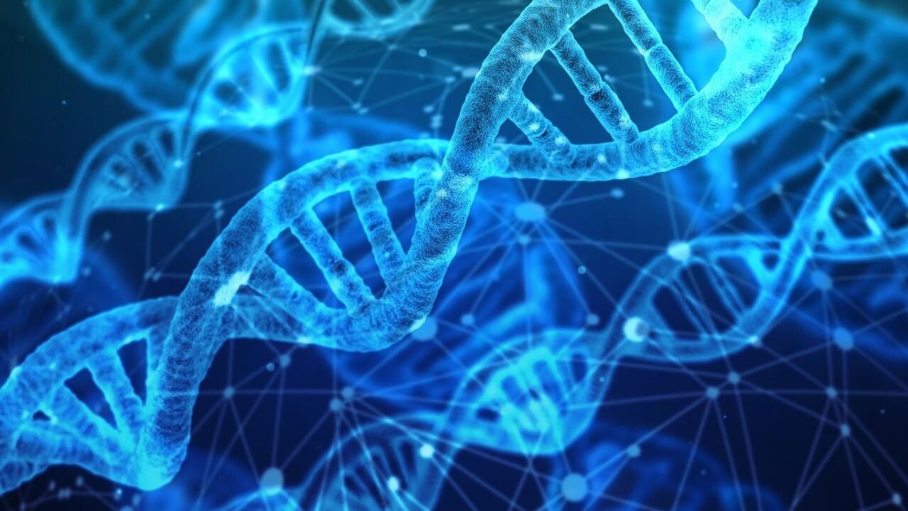 New biotech startup targets genes to treat skin diseases