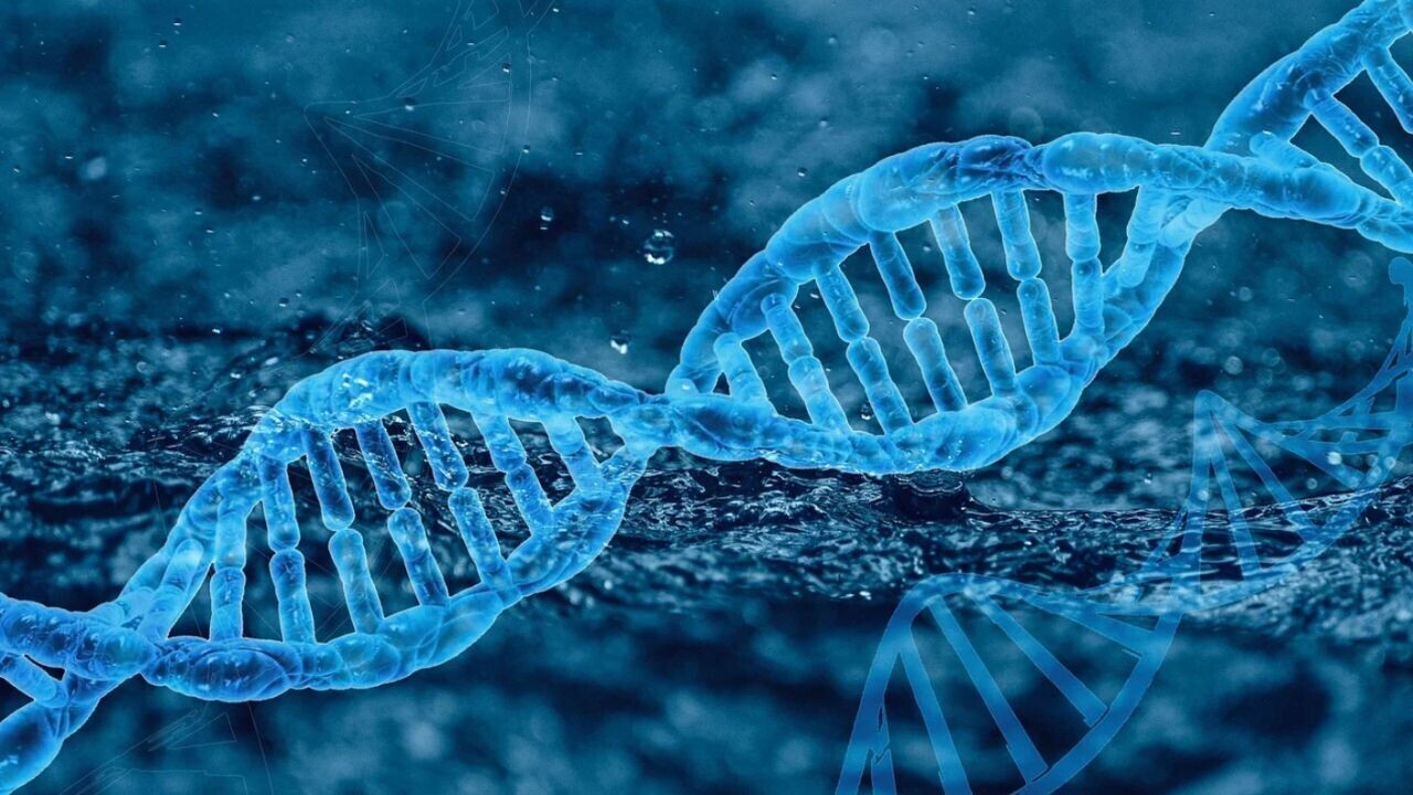 Swiss startup creates modular device for on-demand cell therapy manufacturing