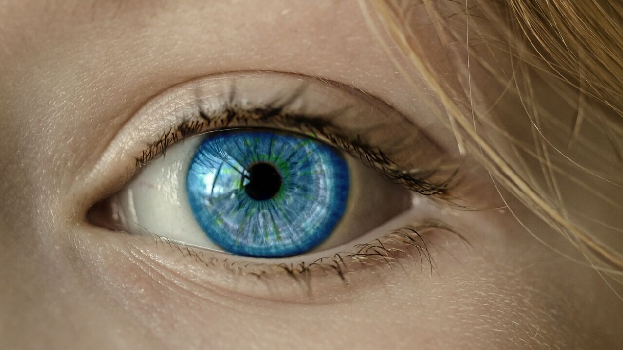 Neuron-sized brain implant could help blind people see again
