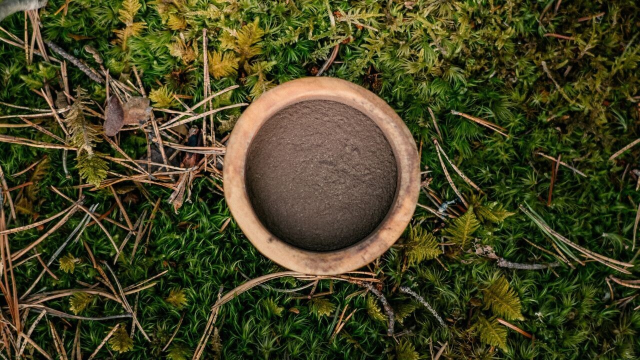 A microbial extract from Finnish forests can heal eczema, a biotech startup says
