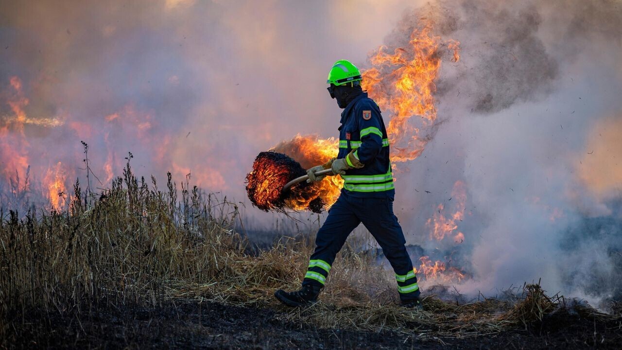 This wildfire simulator can predict risks to individual homes anywhere on Earth