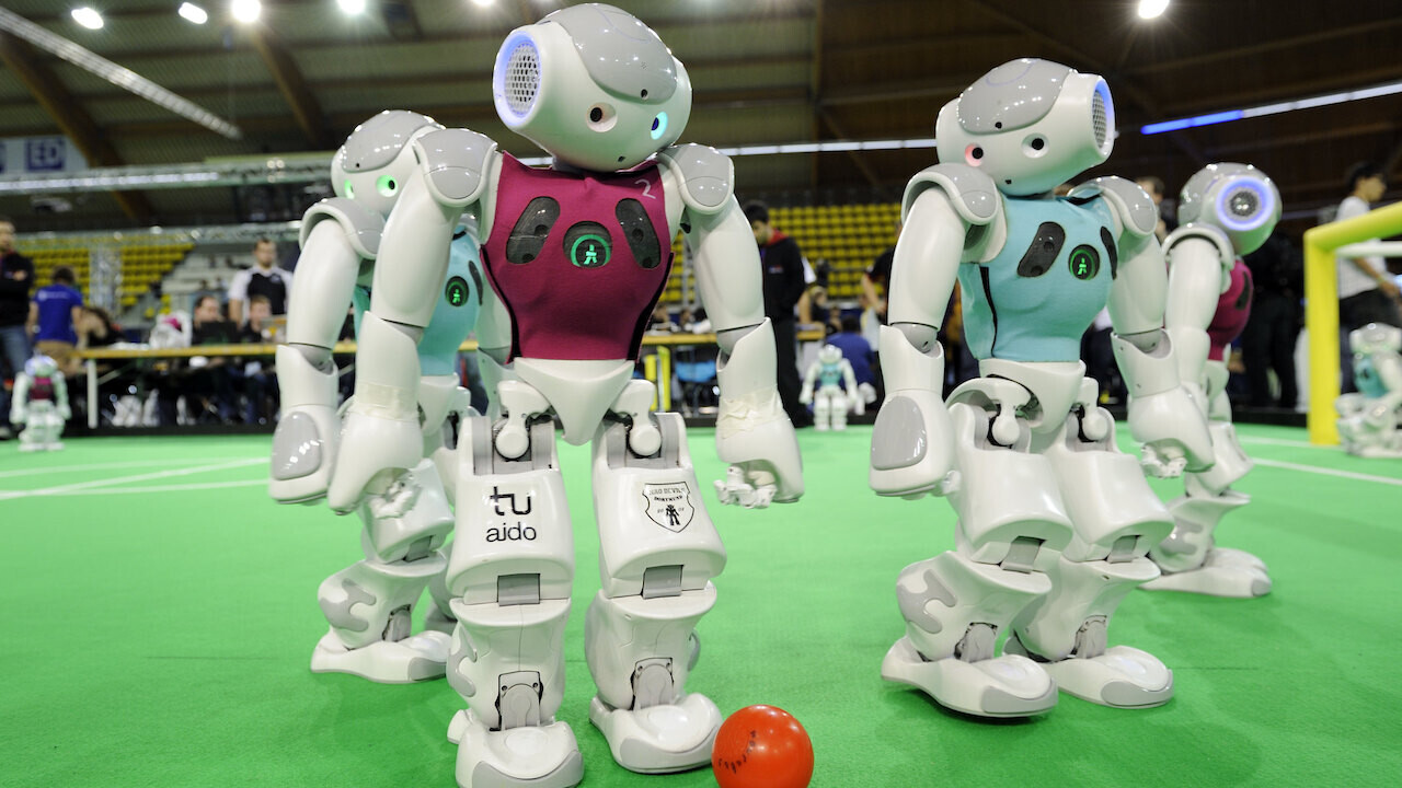 Bananas, champagne, and robots: Why automation still needs humans