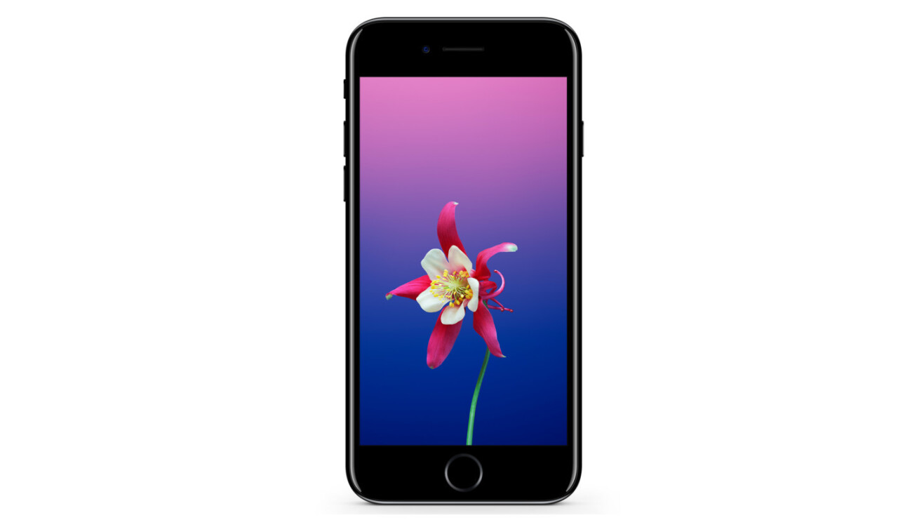 Pretty up your home screen with 16 new iOS 11 wallpapers