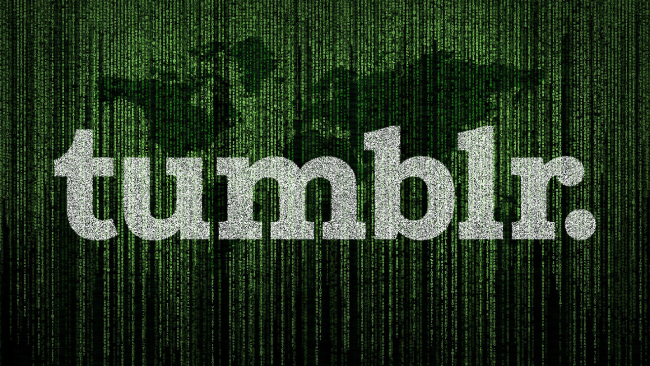 Reddit’s data hoarders are frantically trying to save Tumblr’s NSFW content