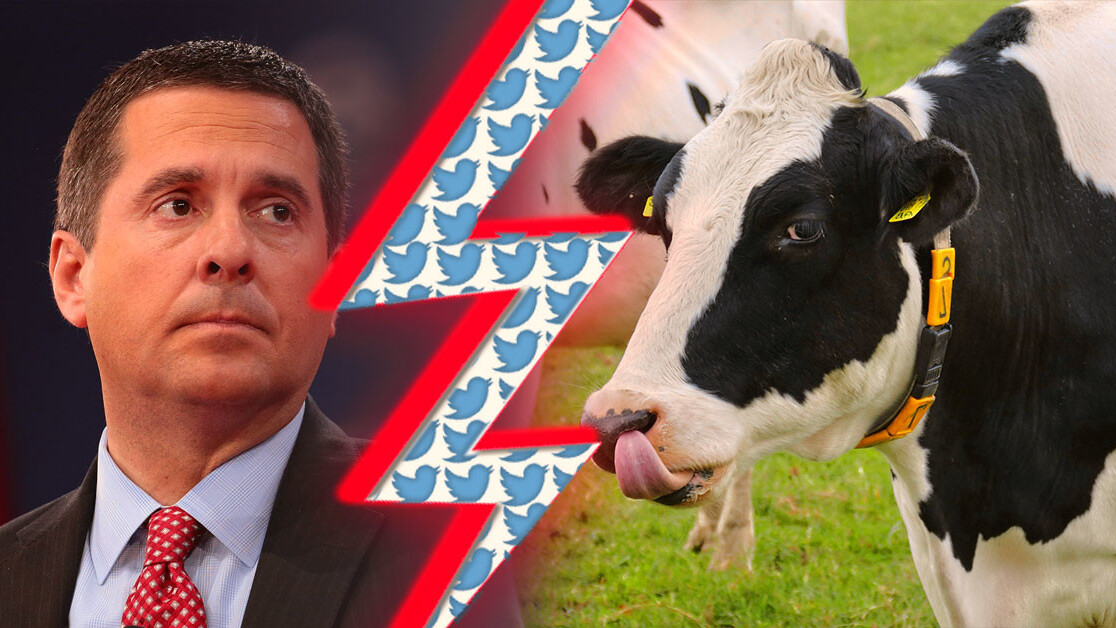 Twitter’s refusal to dox a cow stymies Republican’s $250M lawsuit