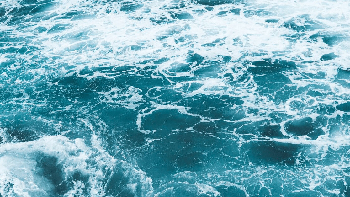 Study: Ocean ecosystems take 2 million years to recover after mass extinction