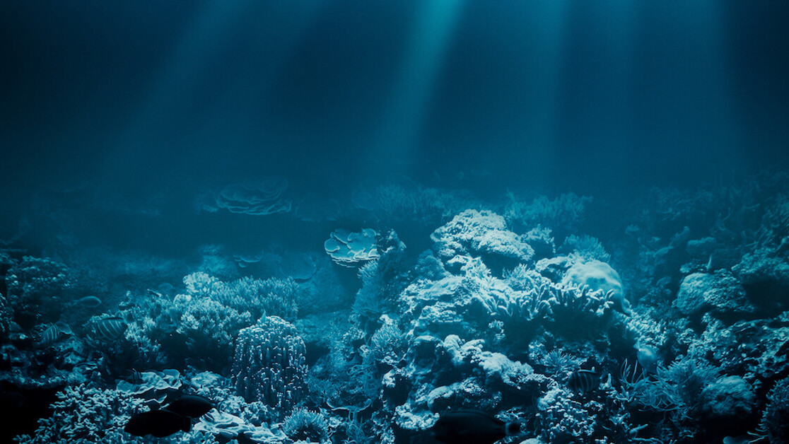 New evidence shows the first cells could have formed at the bottom of the ocean