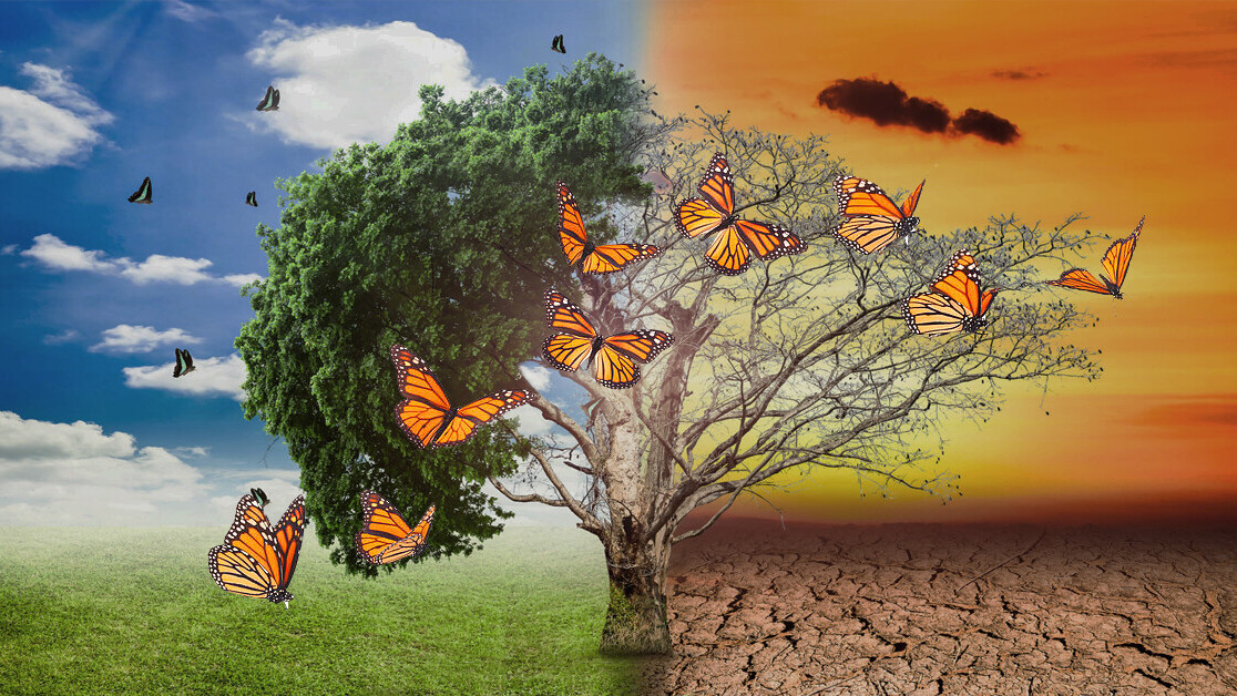 Climate crisis is forcing butterflies to change their lifecycle — but not all can ?