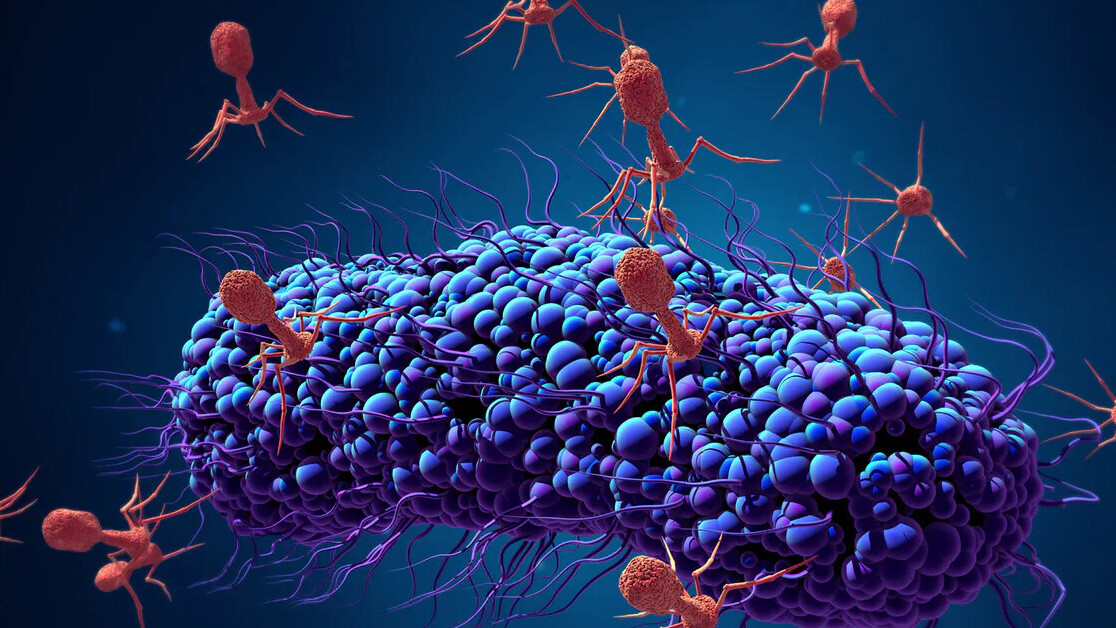 Scientists are reengineering viruses to fight antibiotic resistance
