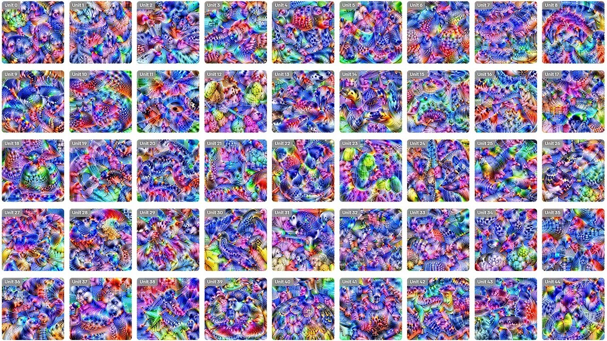 Check out these gorgeous visualizations of popular neural networks